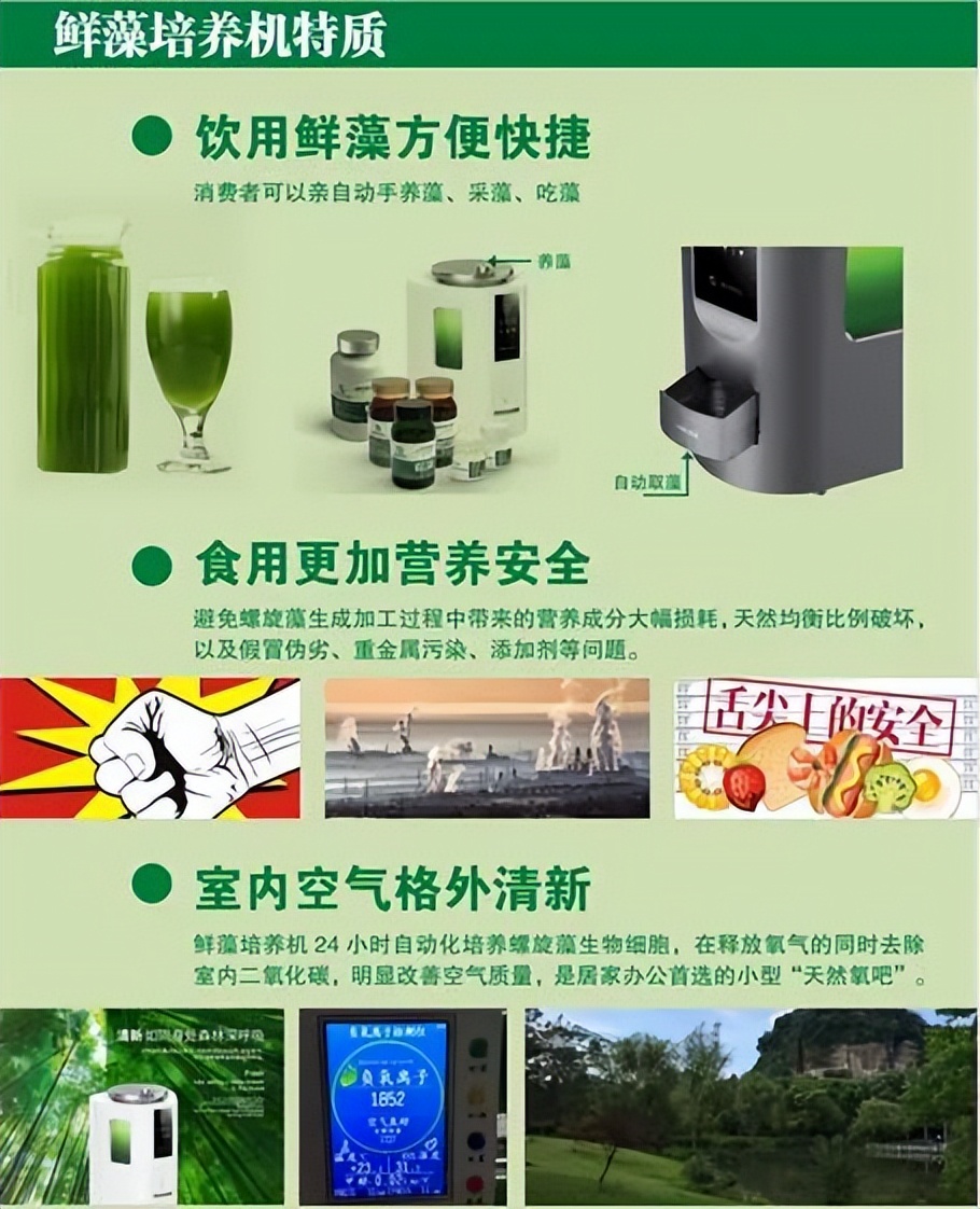 螺旋藻和蓝藻的区别,螺旋藻的作用百科介绍