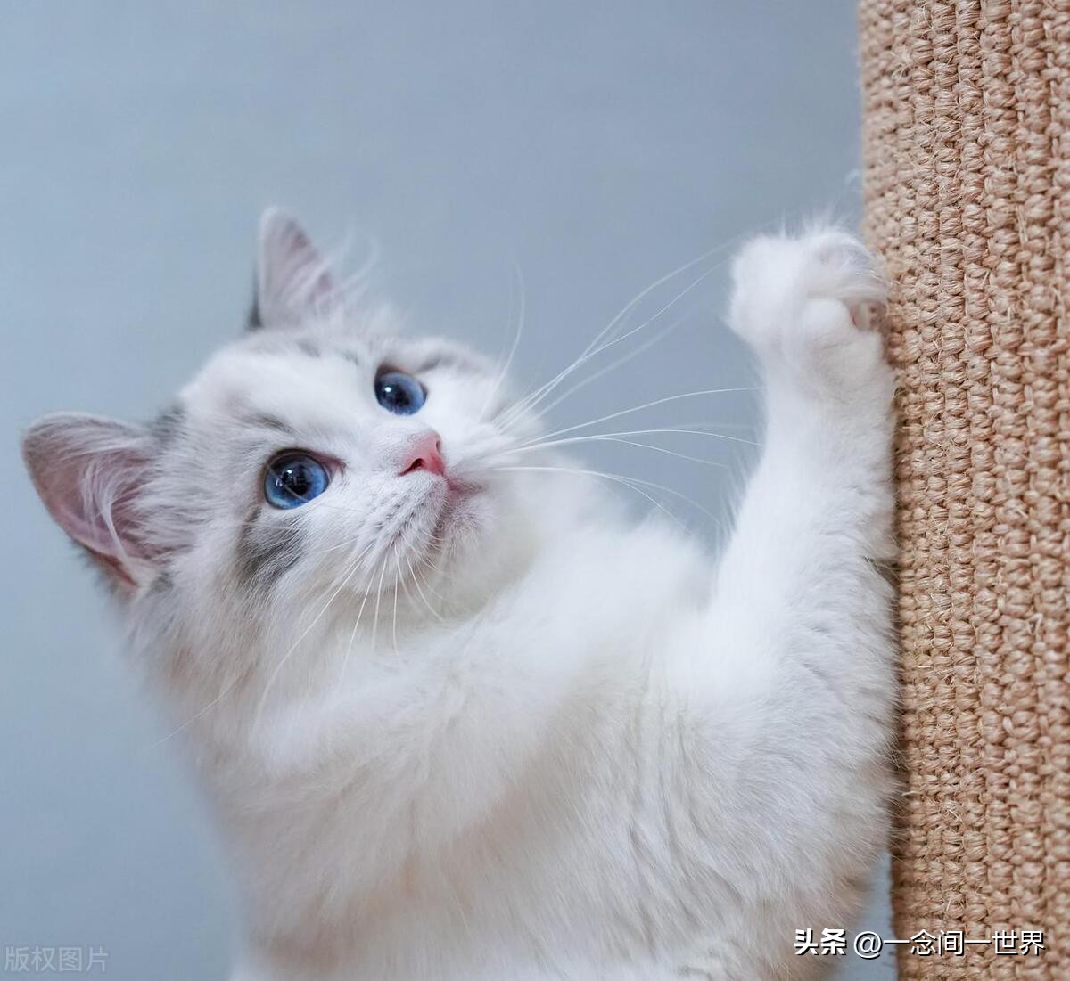 当你被排斥时，这样做才是大智慧