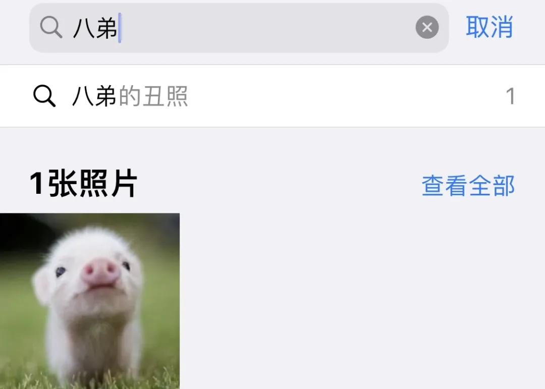 iphone相册的使用技巧,iphone相册隐藏怎么调出来