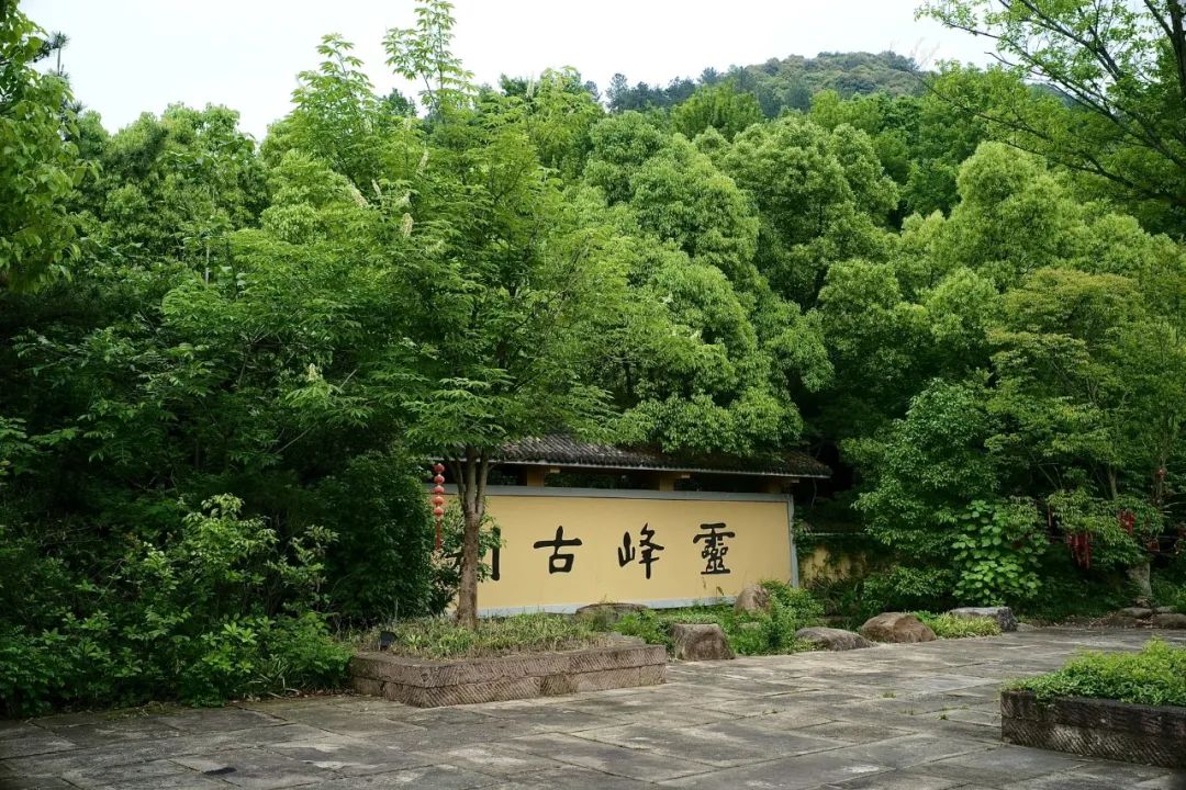 浙江市区度假酒店推荐,浙江轻奢酒店值得推荐