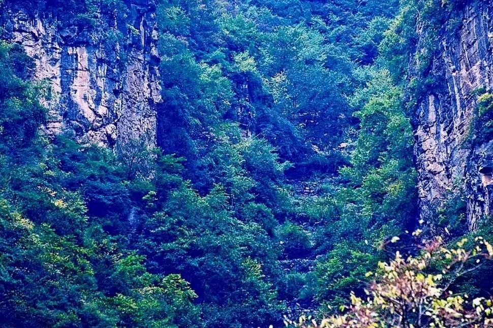 供销社成立的初衷,1954年供销社成立