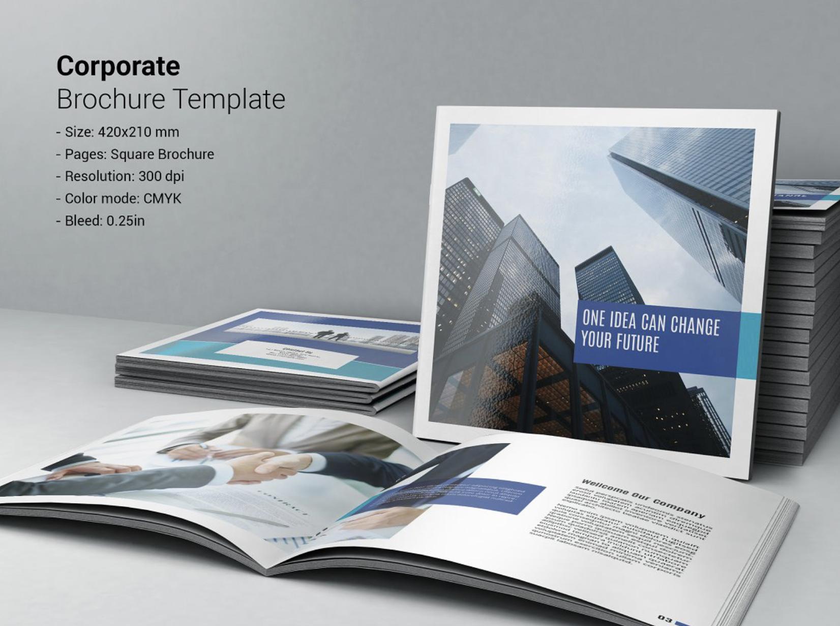 品牌画册宣传册设计有逼格有内容,青岛画册宣传册设计印刷