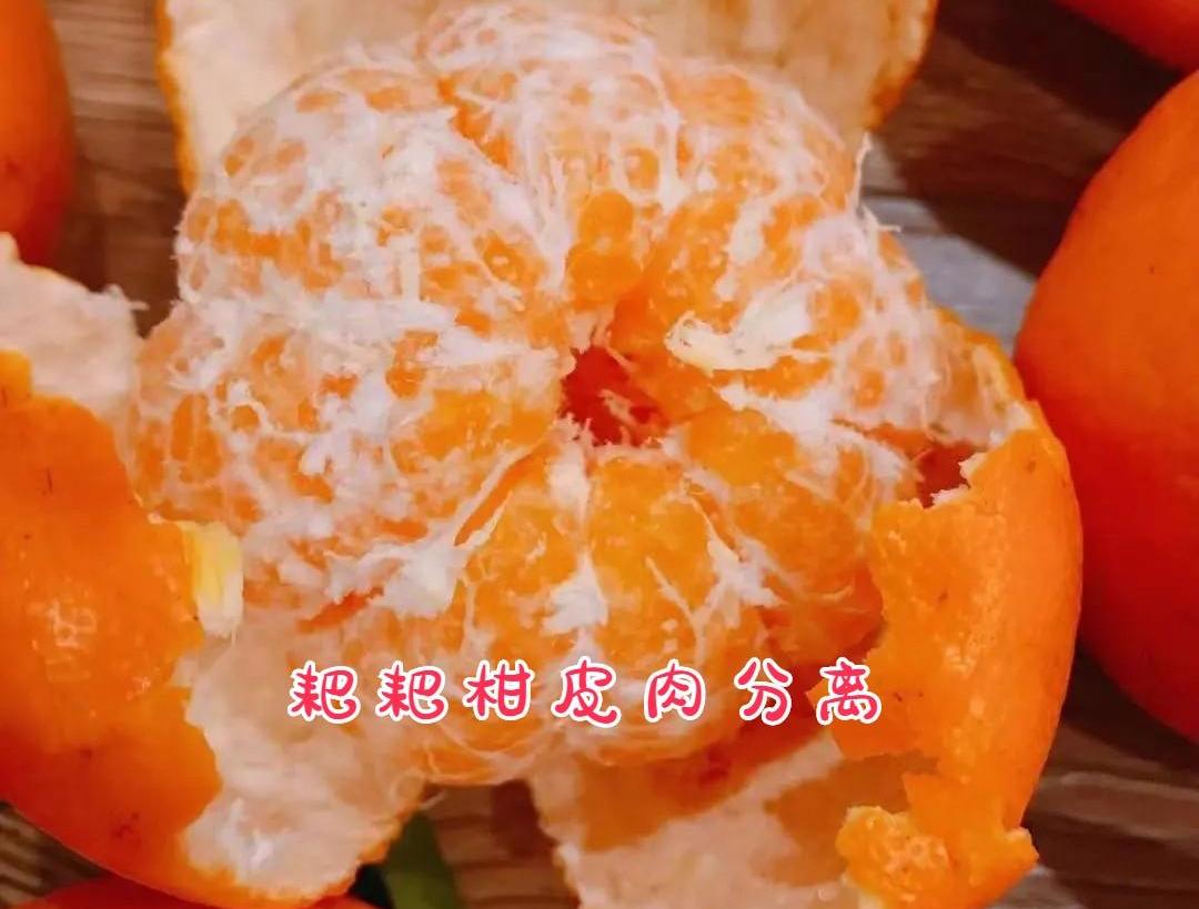 耙耙柑跟丑橘有什么区别,四川耙耙柑和丑橘的区别