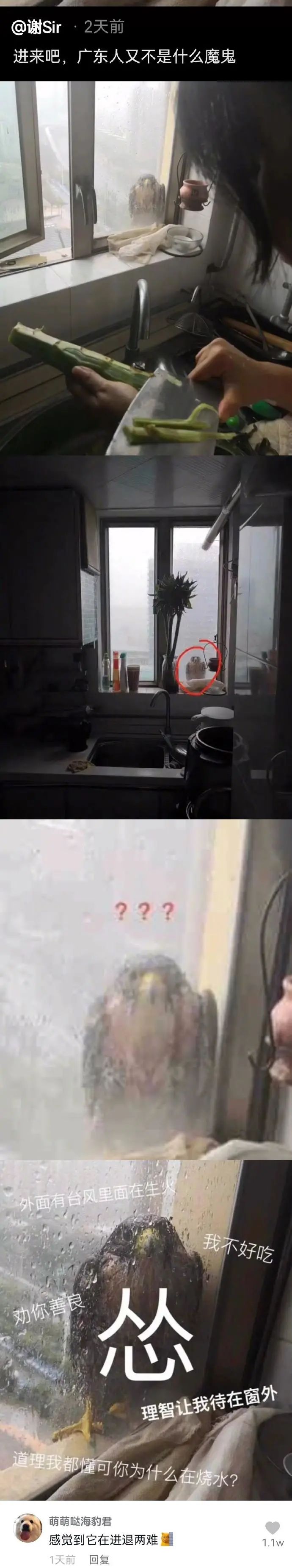 割包皮被反复收费,包皮手术为什么说是医疗骗局