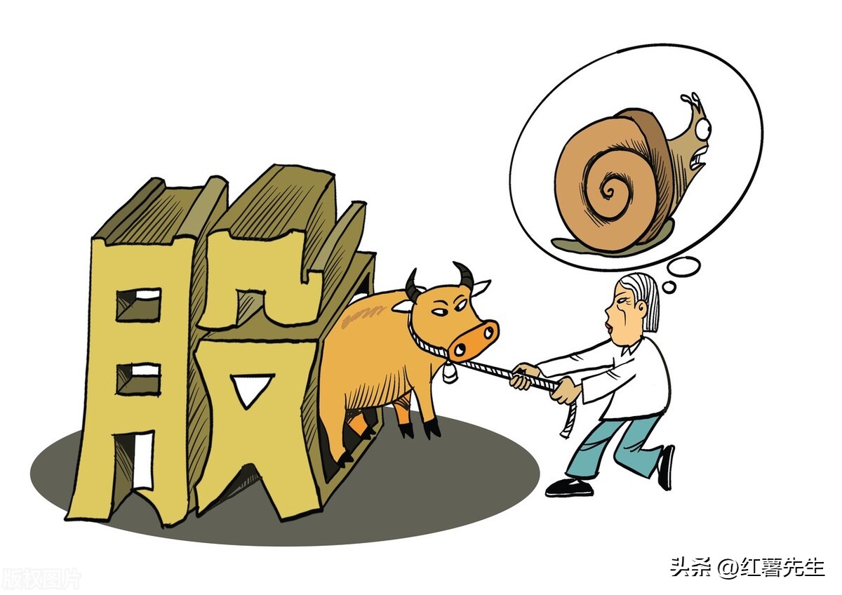 估值低的细分龙头,2022估值低业绩好细分龙头