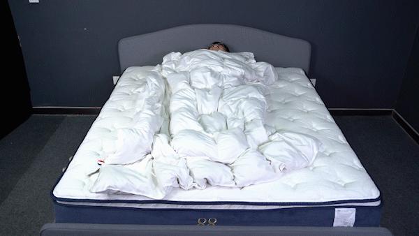 行业揭秘！舒达、西屋、金可儿、丝涟、慕思床垫拆解大横评