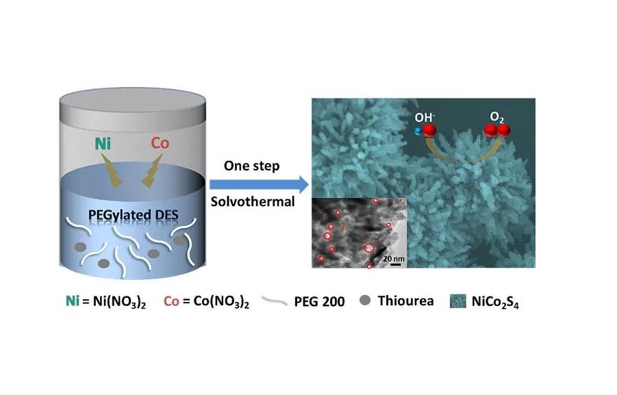 壳聚糖复合物的功效,壳聚糖复合物功效