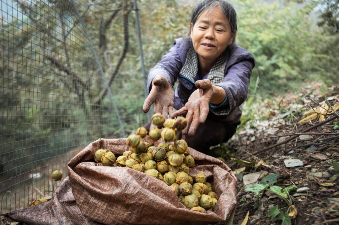 鑹搧閾哄瓙鏄ヨ妭蹇呭骞磋揣,骞磋揣蹇呭闆堕娓呭崟绾夸笅