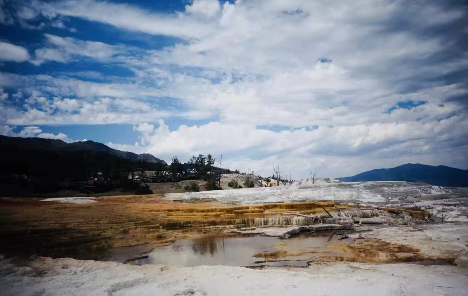 今年美国留学签证好签吗,美国留学签证免面签