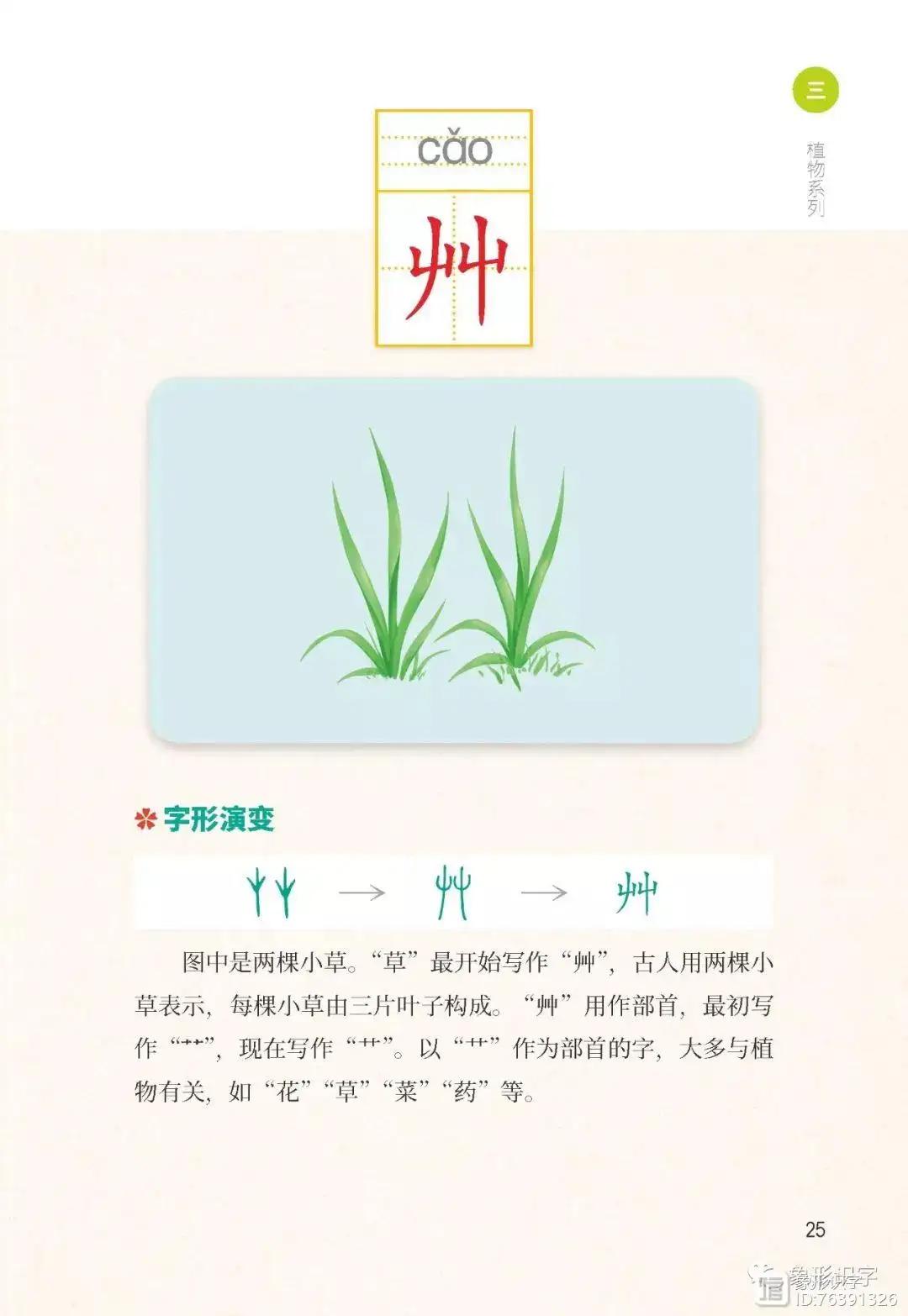 屮艸芔茻这几个字怎么读,屮艸芔茻有什么含义