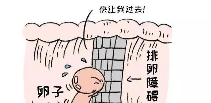 宫腔内人工授精术,疾病科普知识大全