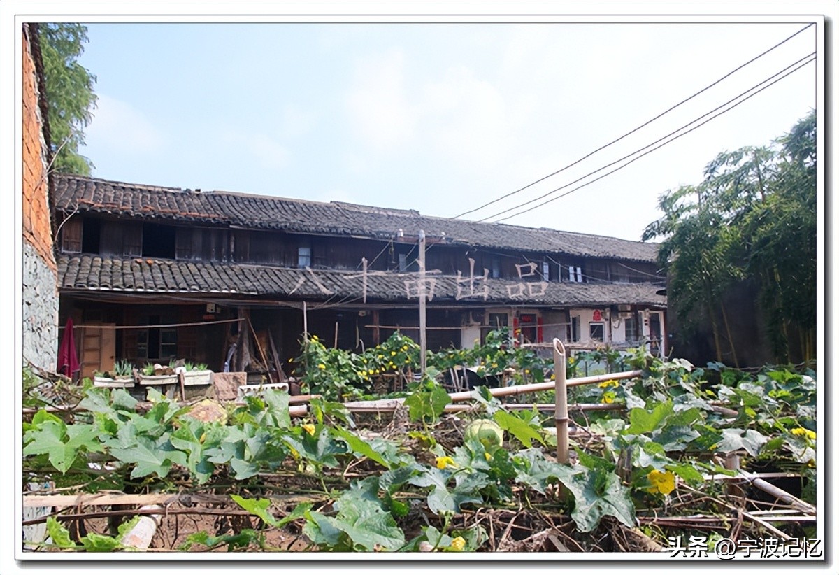 宁波市海曙区龙观乡政府网,宁波市海曙区龙观乡大庄水库