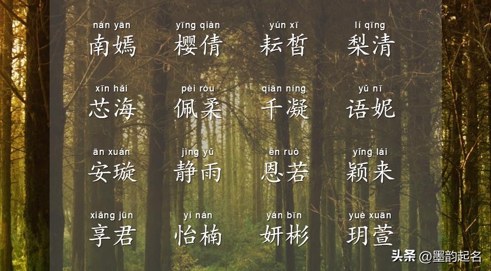 女宝宝名字大气有韵味,女孩名字带韶字寓意好的名字大全