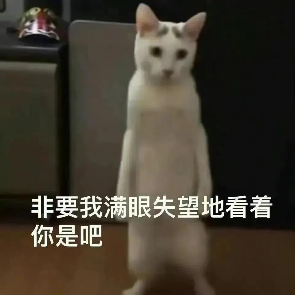 可爱表情包从哪里来,可爱表情包想我了嘛