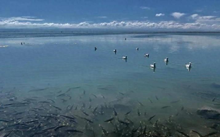 中国最大淡水湖纳木错湖,西藏纳木错中国最大的湖