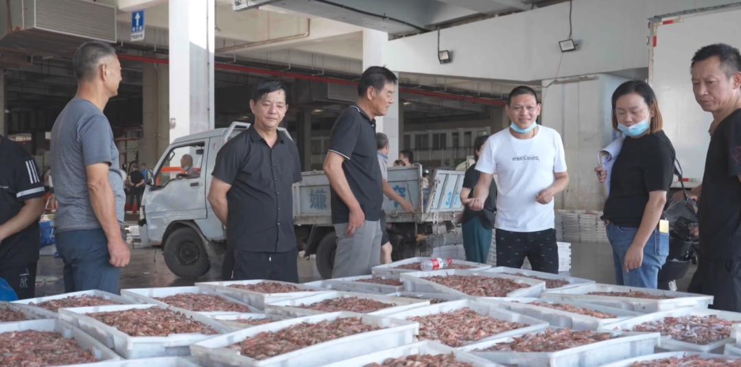 做海鲜直播一年能赚多少钱,返乡创业90后夫妻回家喂牛直播