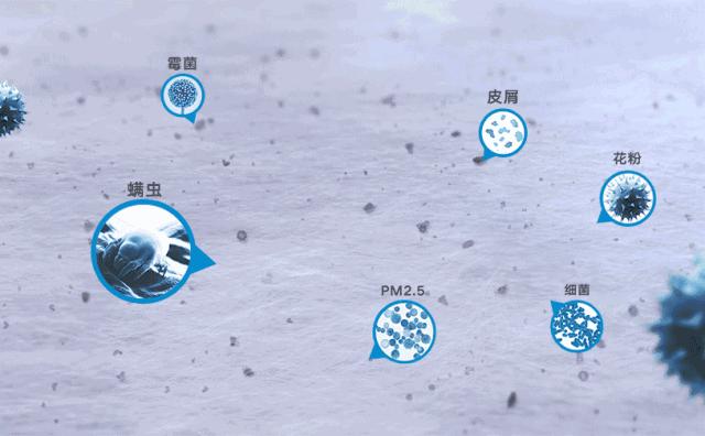 家里很多毛絮灰尘如何解决,家里毛絮灰尘怎么消除