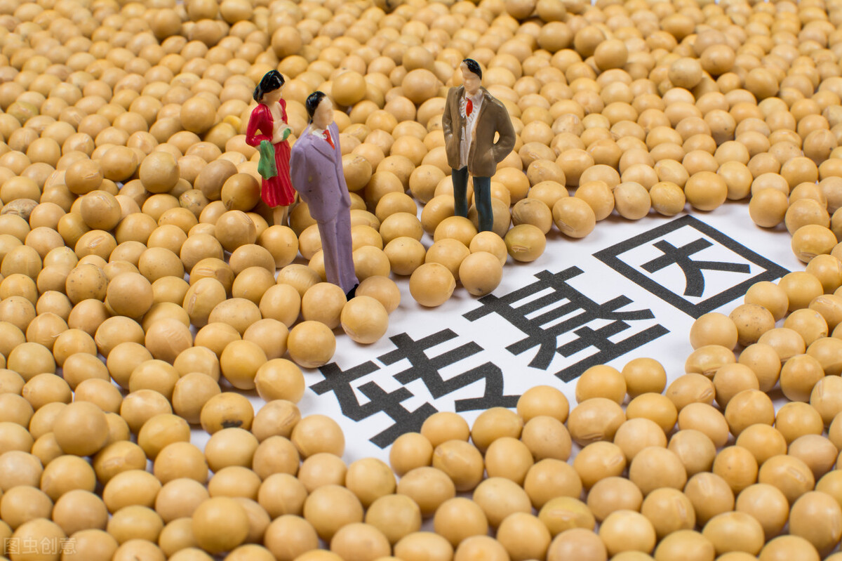 2018年8月16日大豆价格行情,10月14日大豆价格最新行情现在