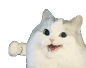 量子检测癌症靠谱吗,量子检查身体能检查出什么