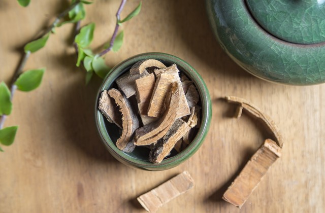 哪种草药可以治泻痢,治疗久泻久痢的中药方剂