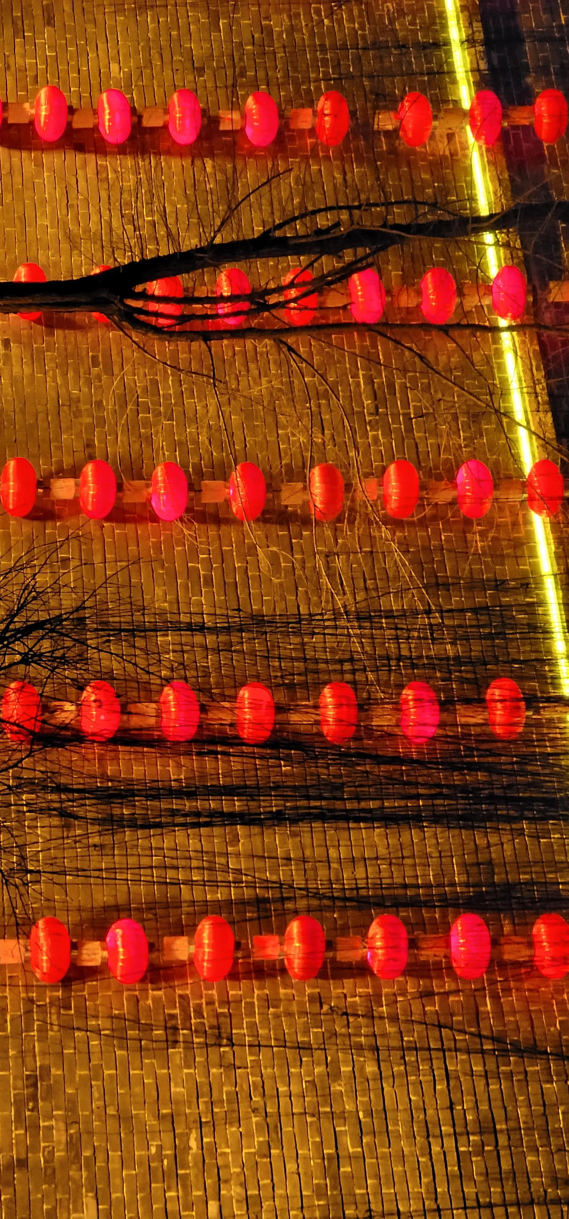 开着沪牌回老家怎么样,开着大巴玩转江浙沪