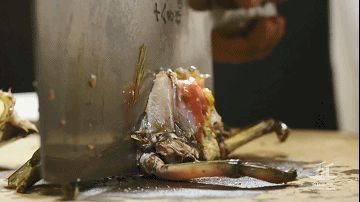 什么淡水蟹又大又好吃,厚礼蟹是螃蟹吗