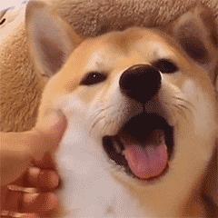 2023最好用的浏览器pc,最好用的手机端pc浏览器