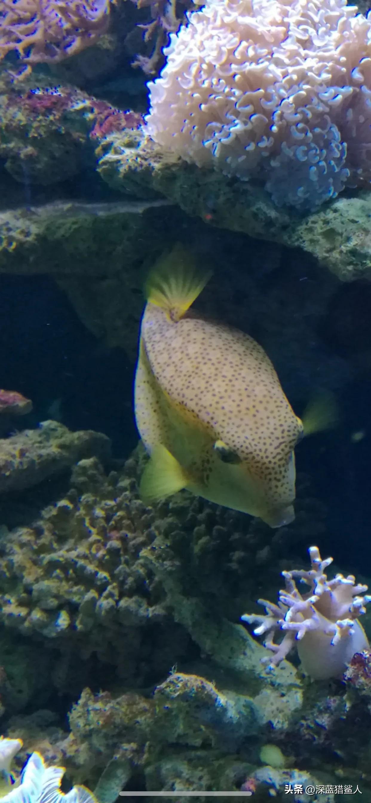 现在的广州动物园人山人海,近期广州动物园今天人多吗