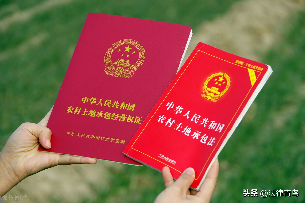 乡村振兴农村合作社该怎么搞,乡村振兴怎样租用农民土地