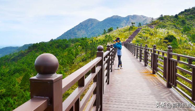 广西宾阳旅游攻略路线,广西南宁宾阳旅游攻略景点