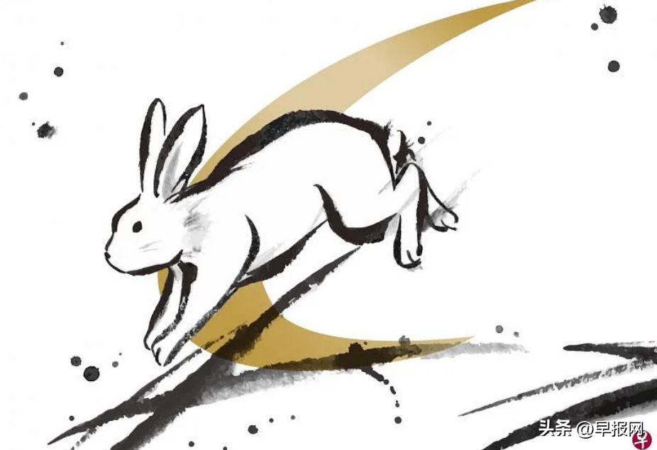 新的一年更爱自己:学习兔子习性身心扬眉“兔”气