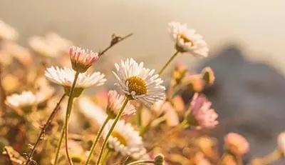 歌词文笔特别好的歌,意境极高的经典歌词