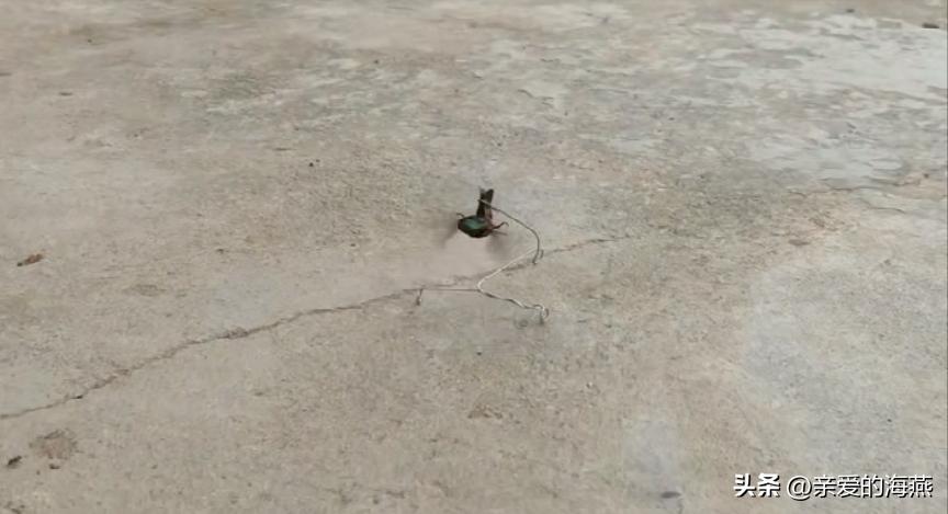 中班益智区自制玩具100例简单,童年玩具7080后的回忆自制