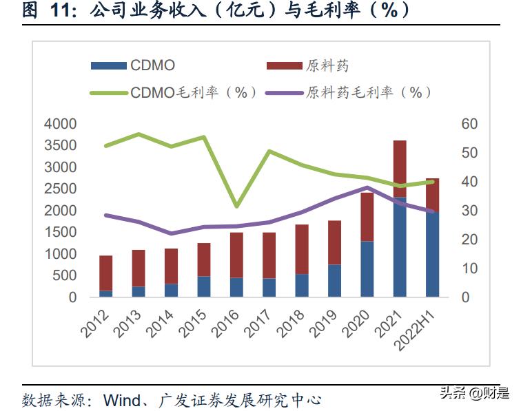 2024九洲药业深度分析,九洲药业报告