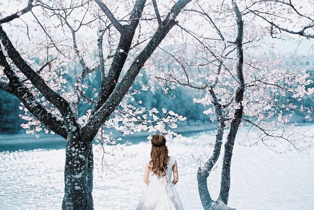 淡然一笑化茧为蝶,淡然一笑风吹而过