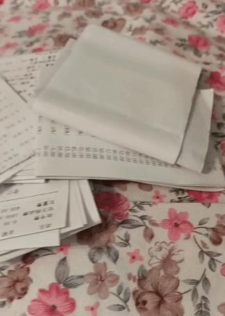 美短猫从三楼摔下来后续,美短猫被抛弃后见到旧主人