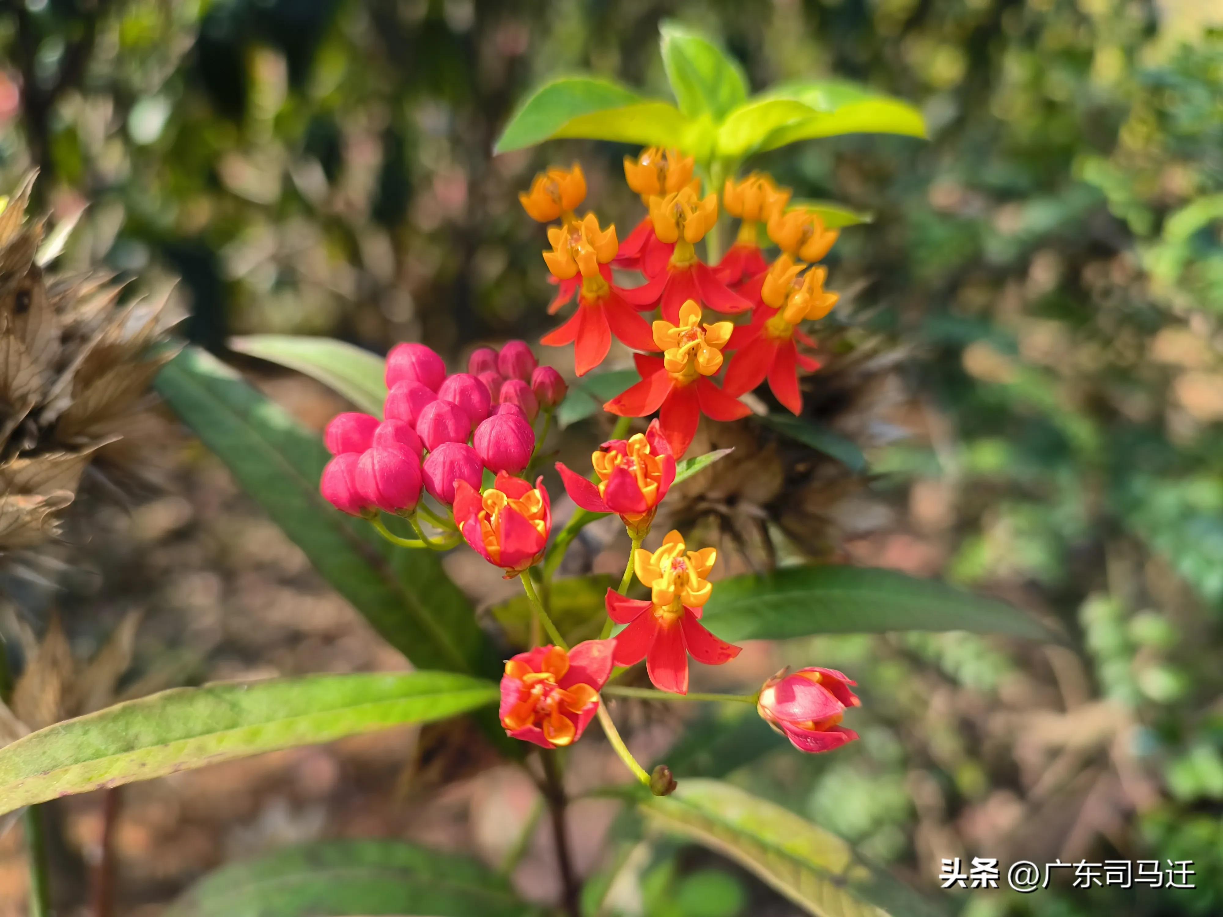 好玩的中山公园,中山公园这儿真美