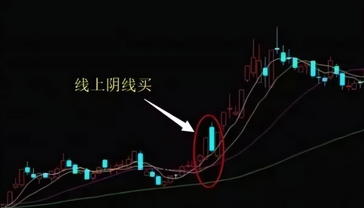 职业股民的忠告,股民炒股忠告