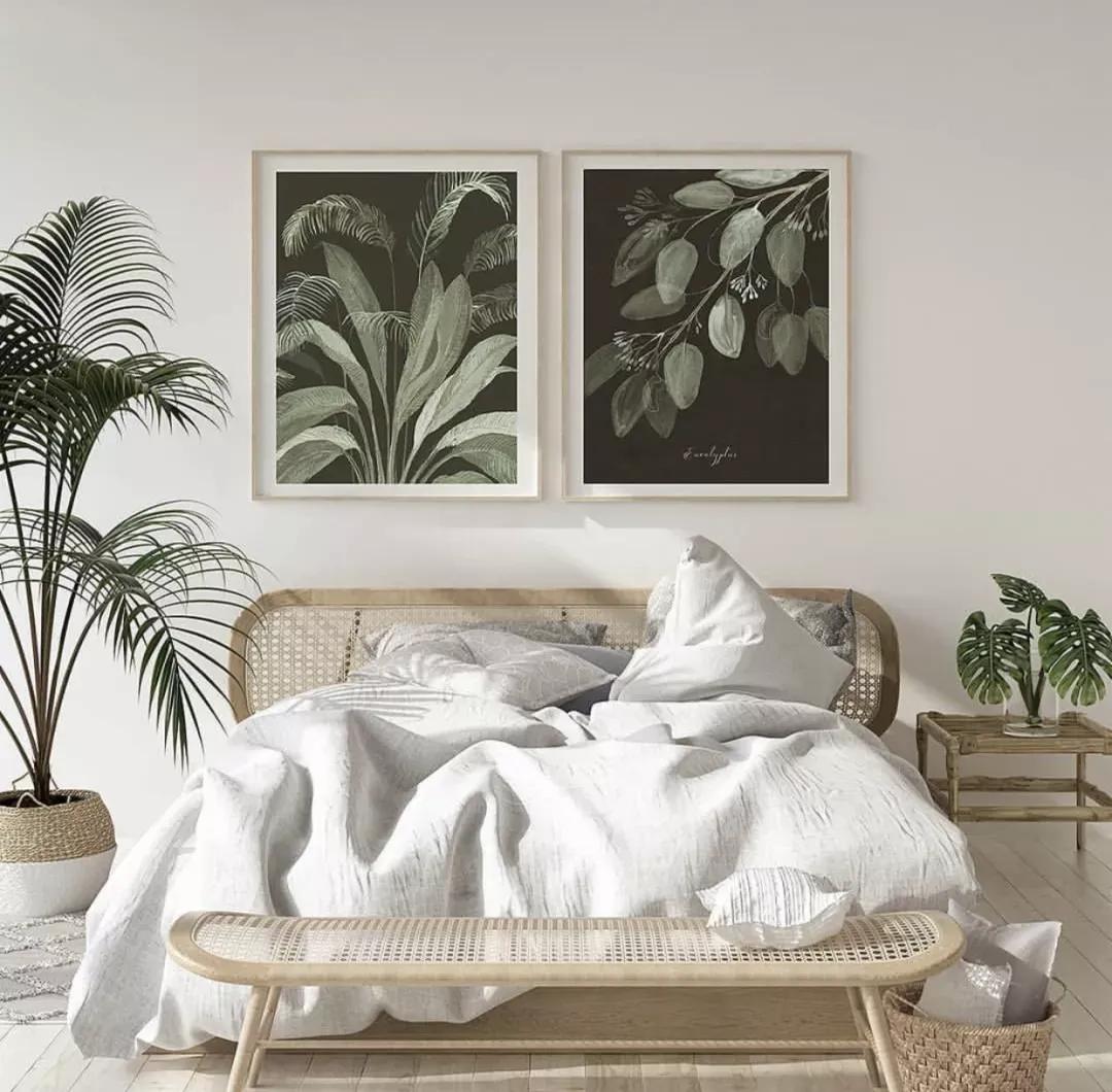 客厅实用盆栽植物有哪些,客厅一般放什么植物盆栽比较好