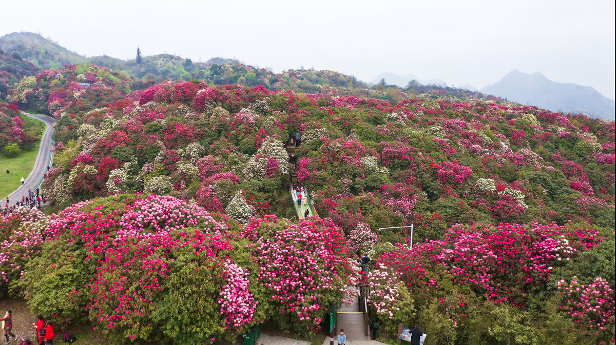 夏天自驾游最凉快的地方,旅游十大必去的地方中国夏天