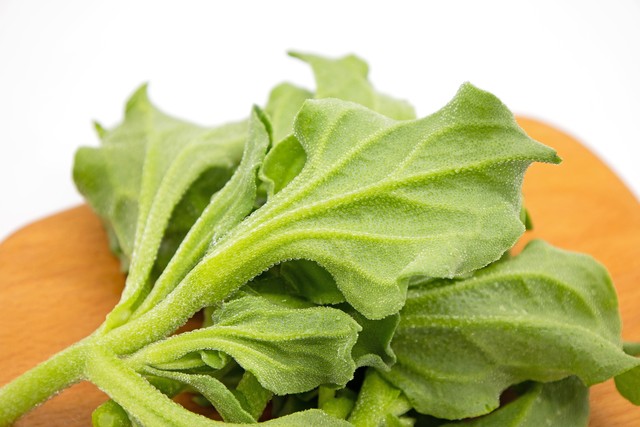 冰菜种植亩产量,亩产5000斤西瓜就可以卖1000元