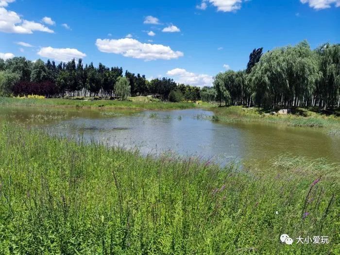 北京花海休闲公园,帝都游乐场