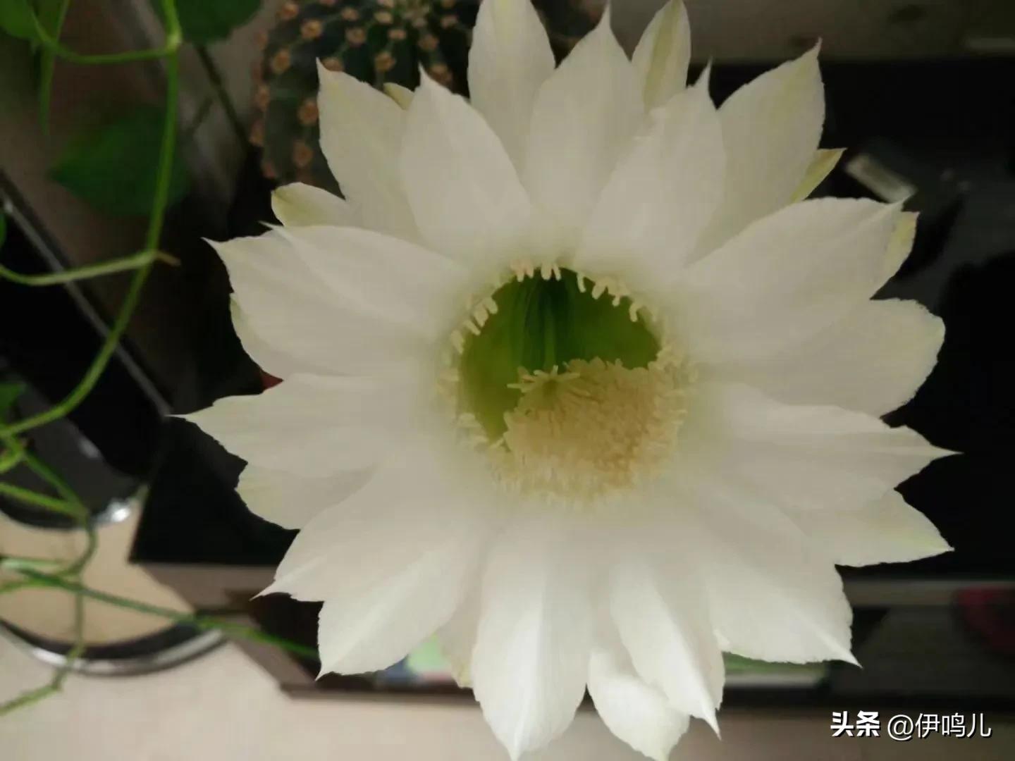 跑步时右侧肋骨下隐痛,跑步左右肋骨附近疼痛