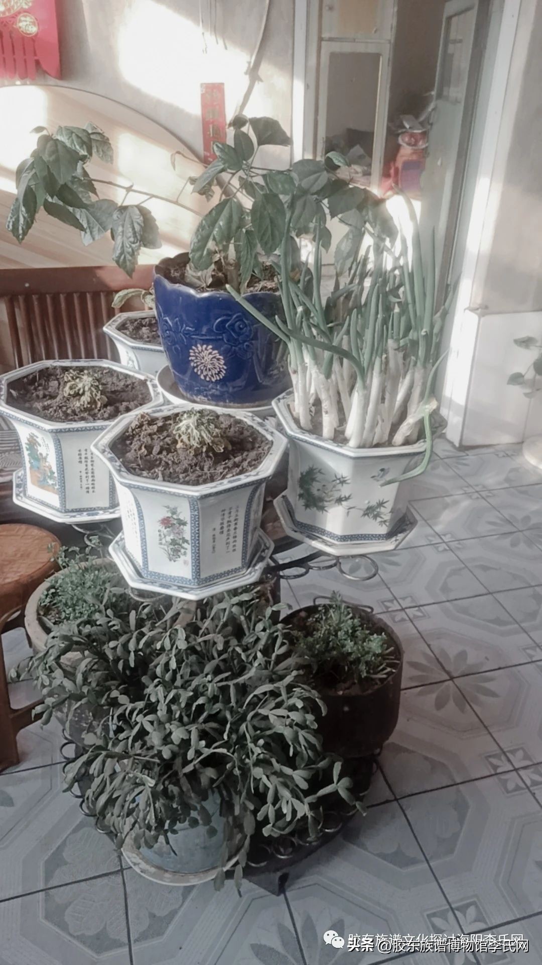 东北吉林寻亲,寻踪东北