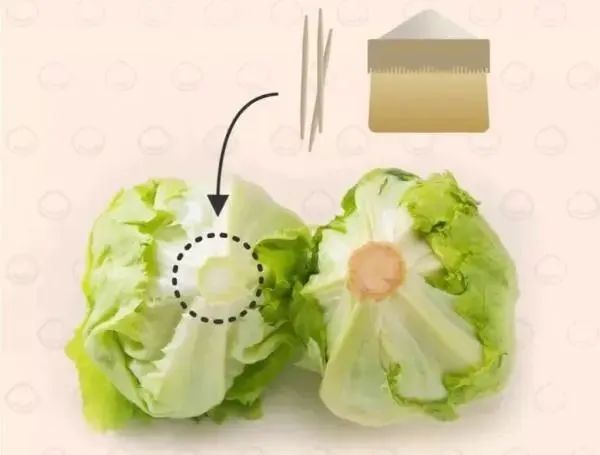 上海人民的囤货指南,上海囤货指南