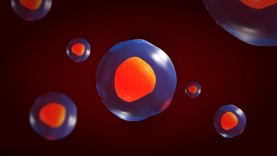 蓝藻球菌的完整细胞MALDI-TOF质谱分析，用于分类和鉴定标记蛋白