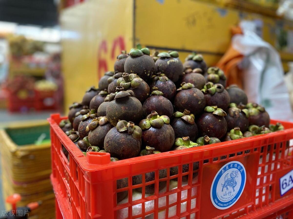 中国山竹水果种植,山竹贵又费手的水果