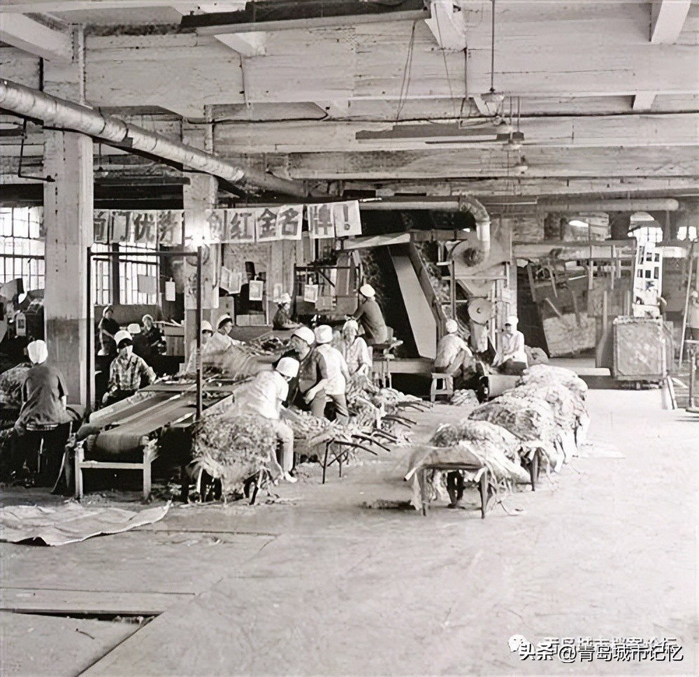 青岛卷烟厂百年简史「1919—2021」（下篇）