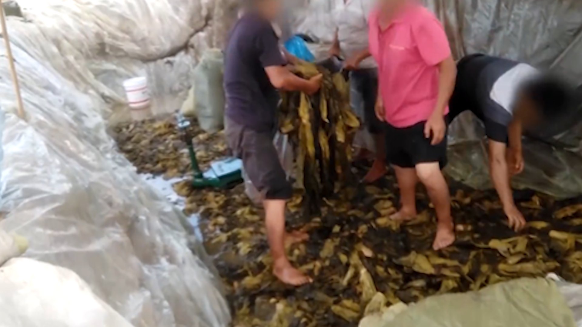 315曝光食品名单都有哪些,315食品品牌上黑榜