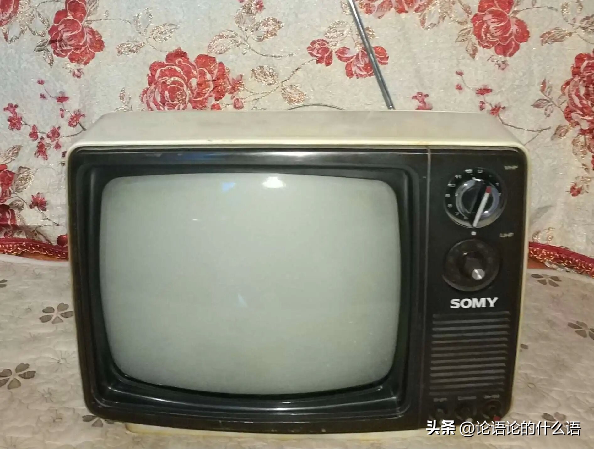 2002世界杯记忆,1982年世界杯